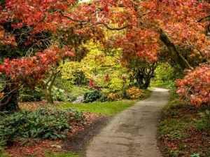 Members and Partners visit the Batsford Arboretum, Moreton-in-Marsh.
