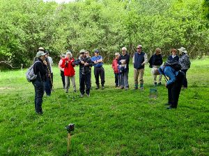 AWAY DAY 2022 - Knepp Farm.