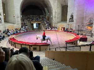 A Dressage performance at the Château de Chantilly Stables