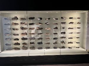 A display of some of the Roman Shoes found at Vindolanda out of the total of over 7,000 shoes found.